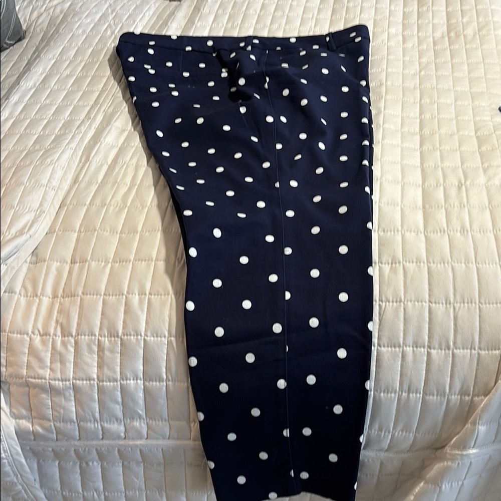 Polka Dot Capri Pants